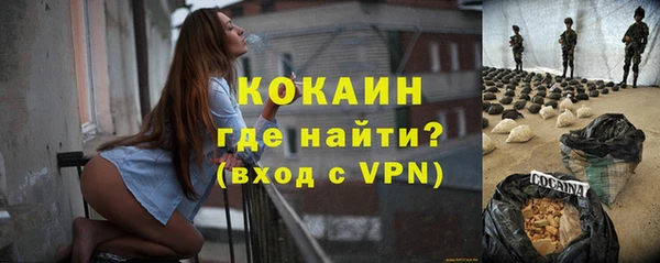 ешки Няндома