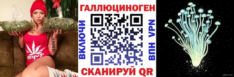 Галлюциногенные грибы MAGIC MUSHROOMS  hydra ССЫЛКА  Михайловка 